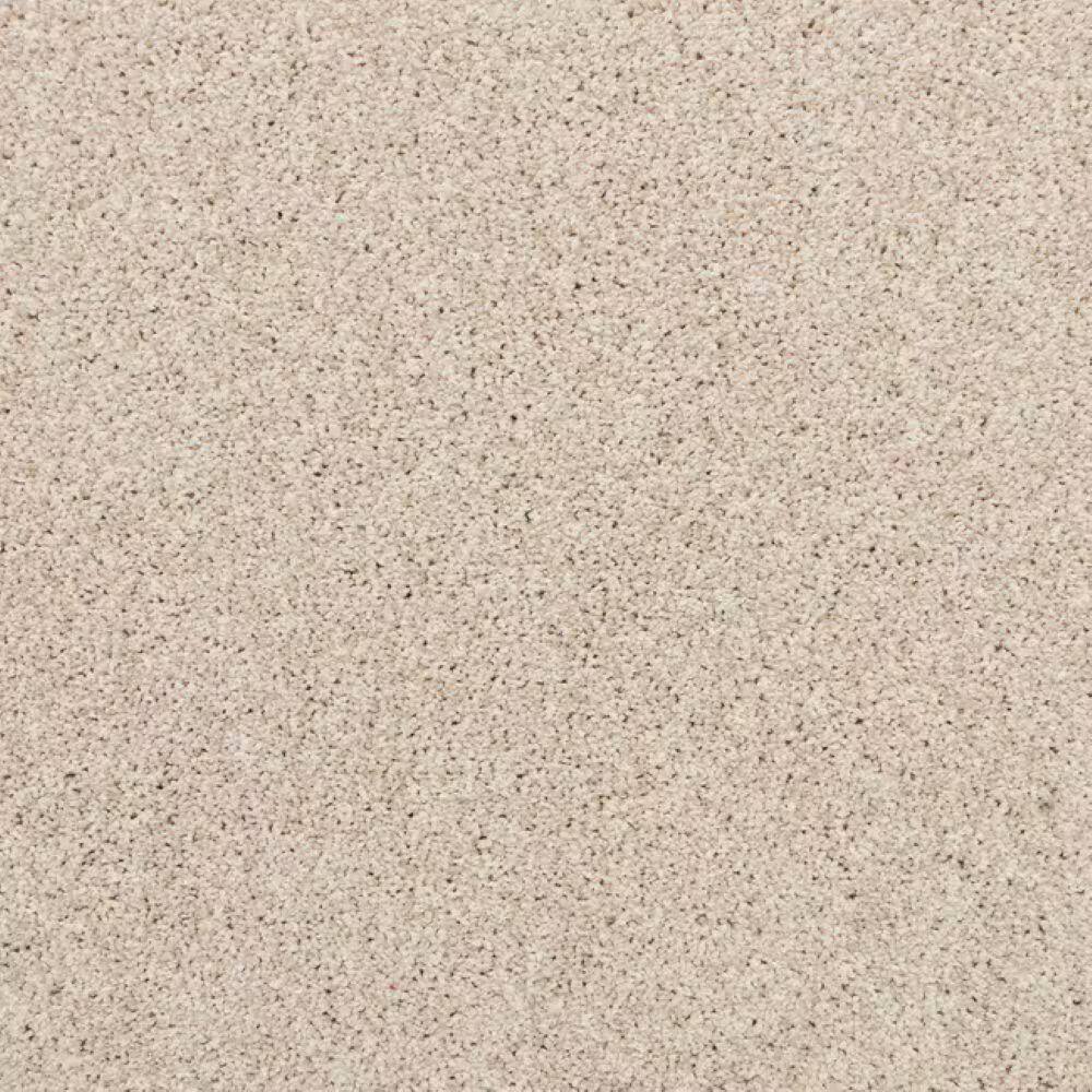 8 in. x 8 in. Texture Carpet Sample-Magalynn II-Color Daydream price history on PriceWatchPro
