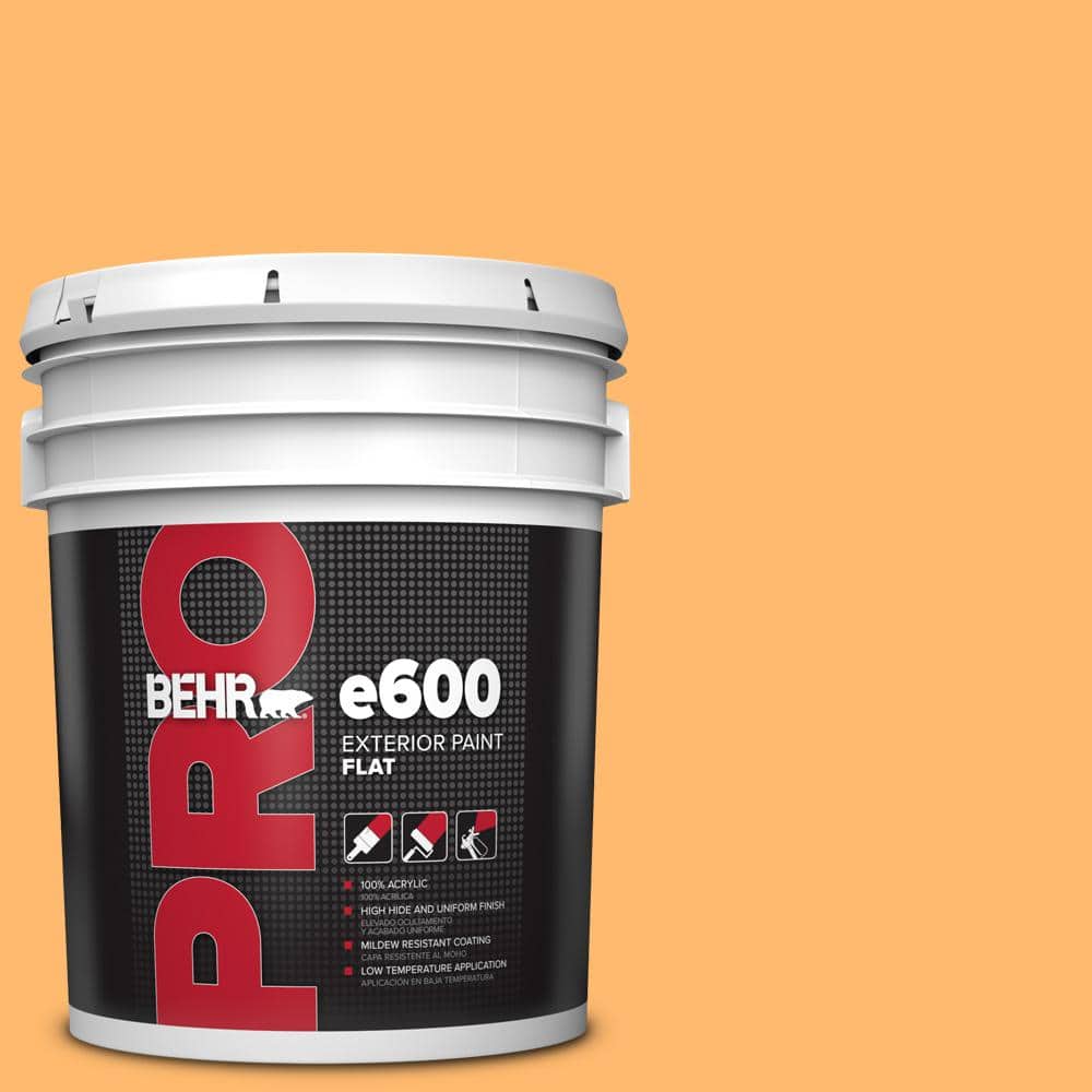 5 gal. #P240-5 Cheese Puff Flat Exterior Paint price history on PriceWatchPro