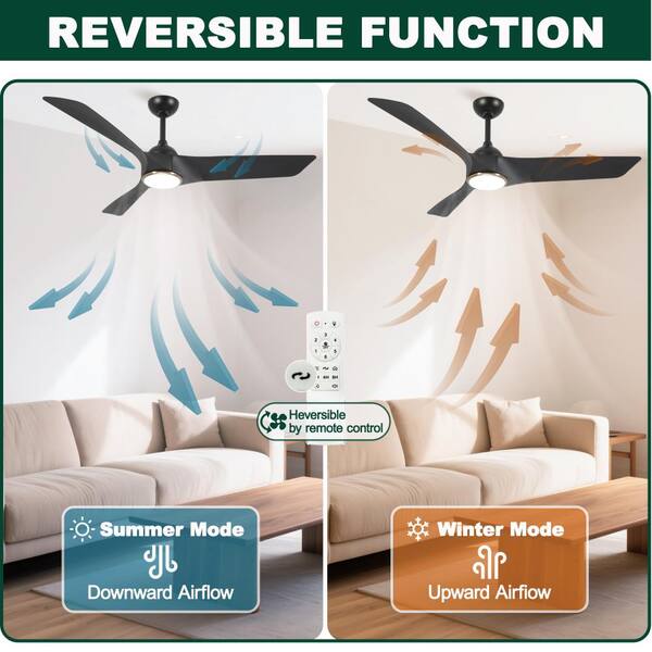 Jushua 52 in. Black Indoor Ceiling Fan with Light Remote Control