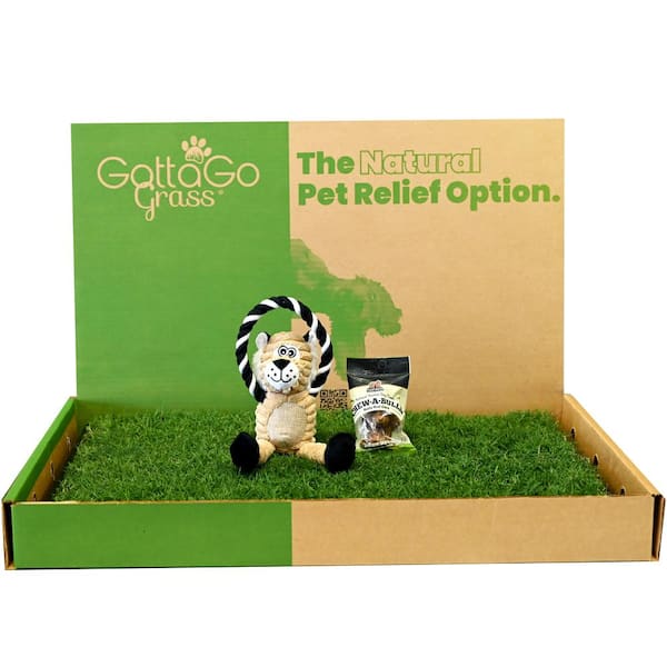 Unbranded Gotta Go Grass Bermuda Refill Plus Treat Plus Squeaky Toy
