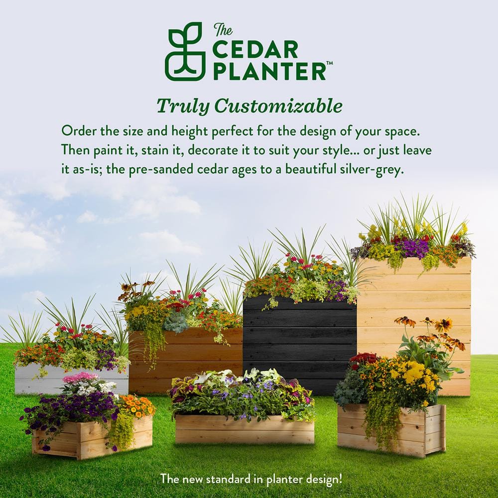 Extra Large Off-White Cedar Wood Outdoor Planter Box