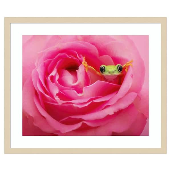 Amanti Art Hanging On VIII by PHBurchett 1 Piece Framed Giclee Animal Art Print 21 in. x 25 in.