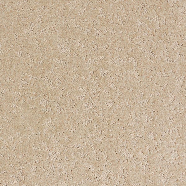 8 in. x 8 in. Pattern Carpet Sample-Warm Woven-Color Grain