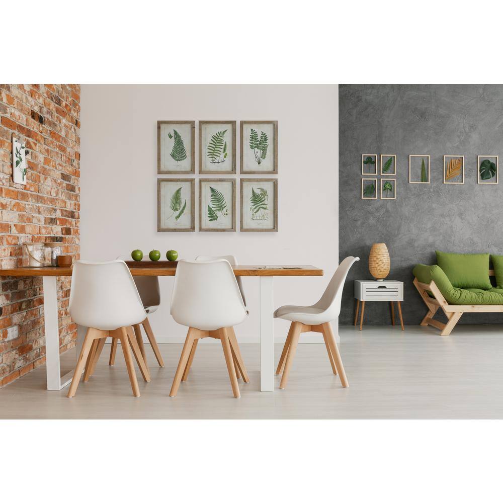 Natural Wood Framed Fern Print Wall Art Set of 6