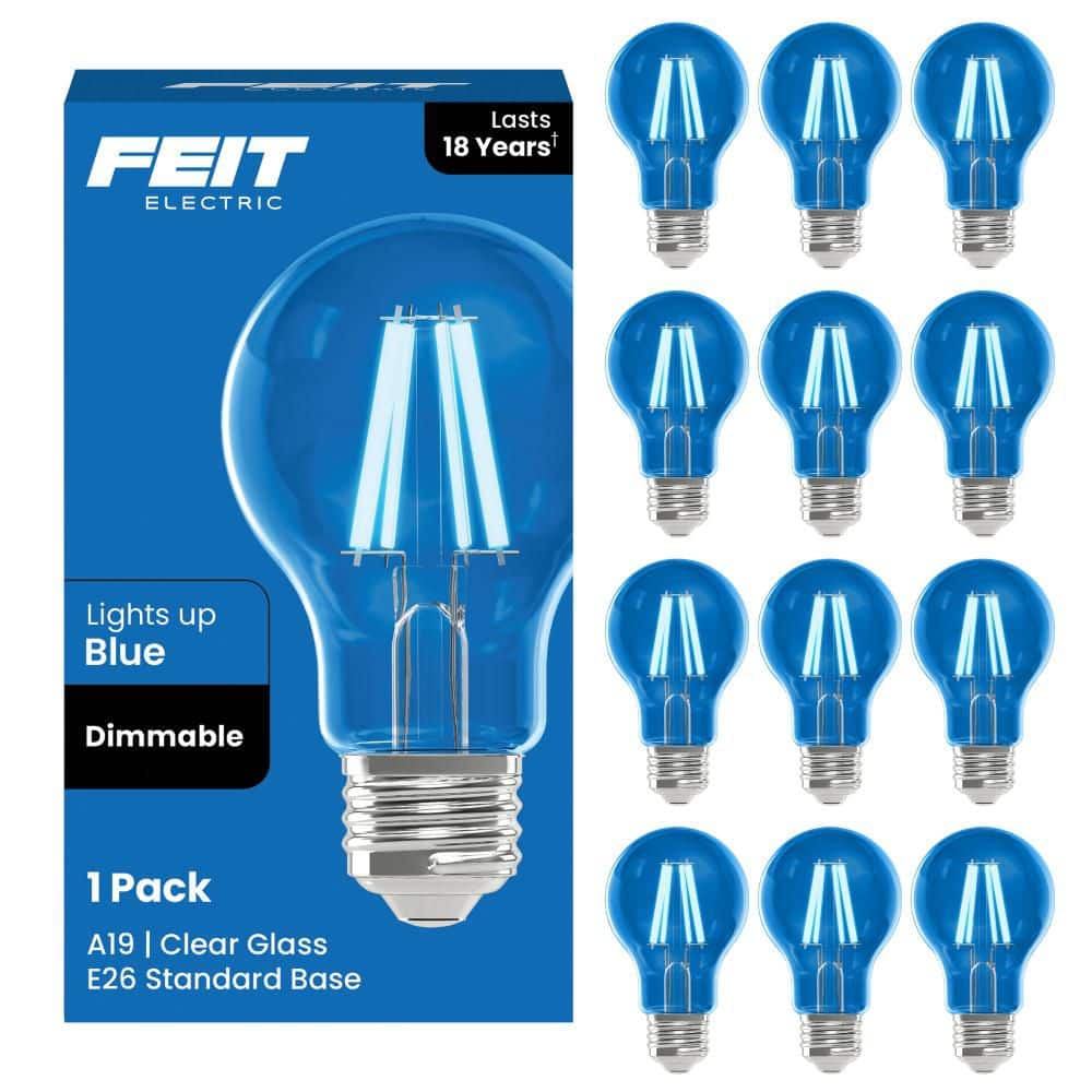 Feit Electric 25-Watt Equivalent A19 Dimmable Filament Blue Colored ...