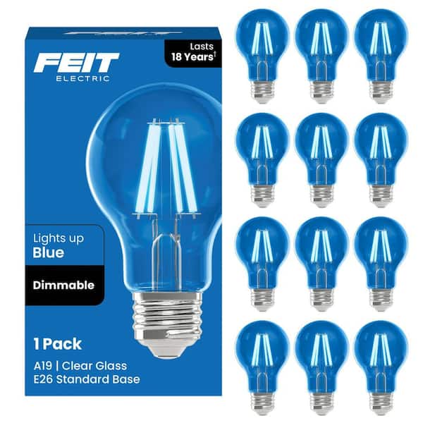 25-Watt Equivalent A19 Dimmable Filament Blue Colored Glass E26 Medium Base LED Light Bulb (12-Pack)