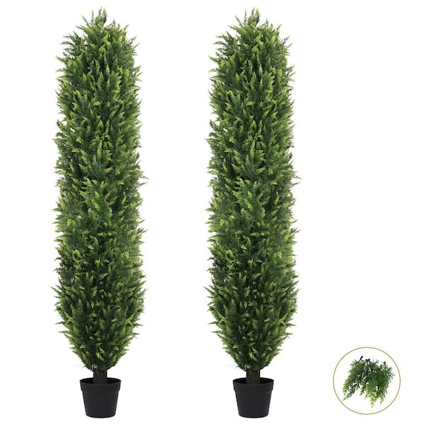 6 ft. Artificial Cedar Topiary Trees for Outdoor Front Porch Decor in Pot 2-Pack