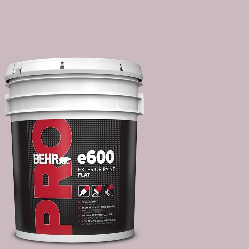 5 gal. #690E-3 Iris Pink Flat Exterior Paint price history on PriceWatchPro