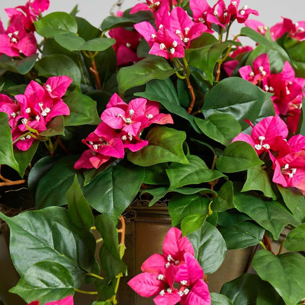 Elegant Silk Bougainvillea Tabletop Arrangement in Potted Design