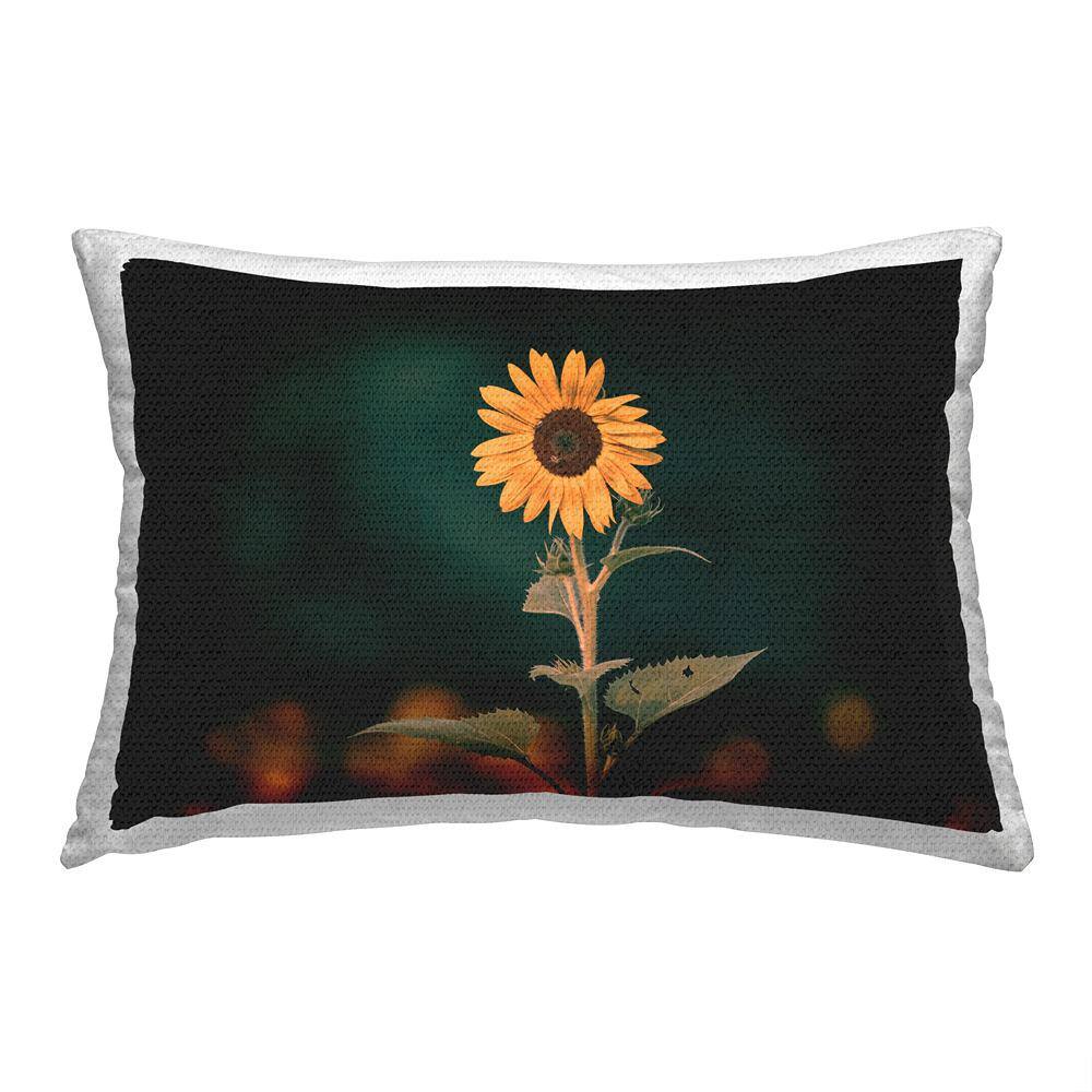 Country Sunflower Bloom Black Rectangular Outdoor Throw Pillow price history on PriceWatchPro