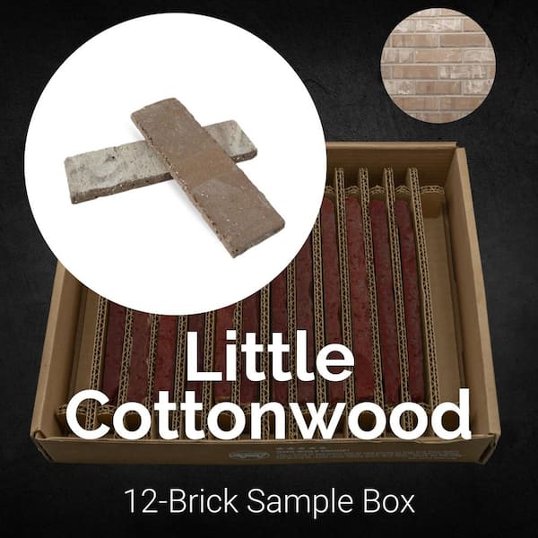 Sample Box Little Cottonwood Thin Brick 7.625 in. x 2.25 in. x 0.5 in.