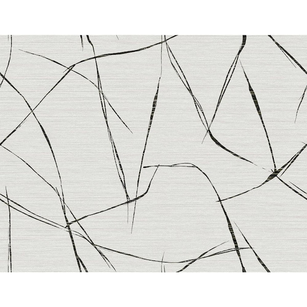 Seabrook Designs 60.75 sq. ft. Onyx Davenport Sketch Embossed Vinyl Unpasted Wallpaper Roll