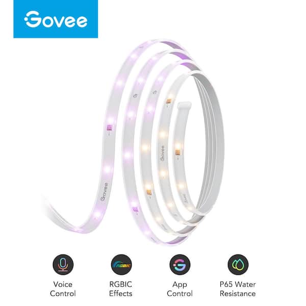 Govee RGBIC Pro 48-Watt Equivalent 49.2 ft. Integrated LED Smart Color  Chainging Wi-Fi Enabled White Strip Light (1-Strip) H619DAD1 - The Home  Depot