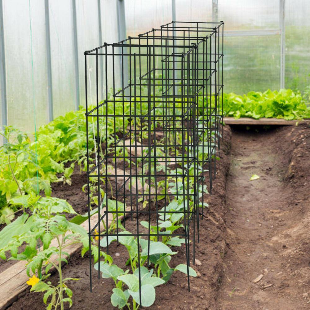 Dark Green Iron Trellis Plant Cage Set for Indoor Climbing Plants