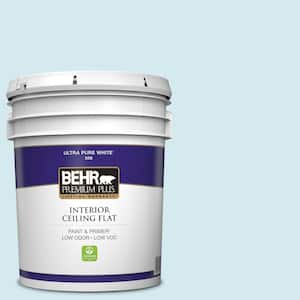 5 gal. #530A-1 Snowdrop Ceiling Flat Interior Paint