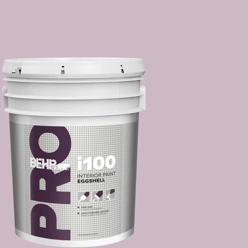 5 gal. #S110-3 Queens Violet Eggshell Interior Paint price history on PriceWatchPro