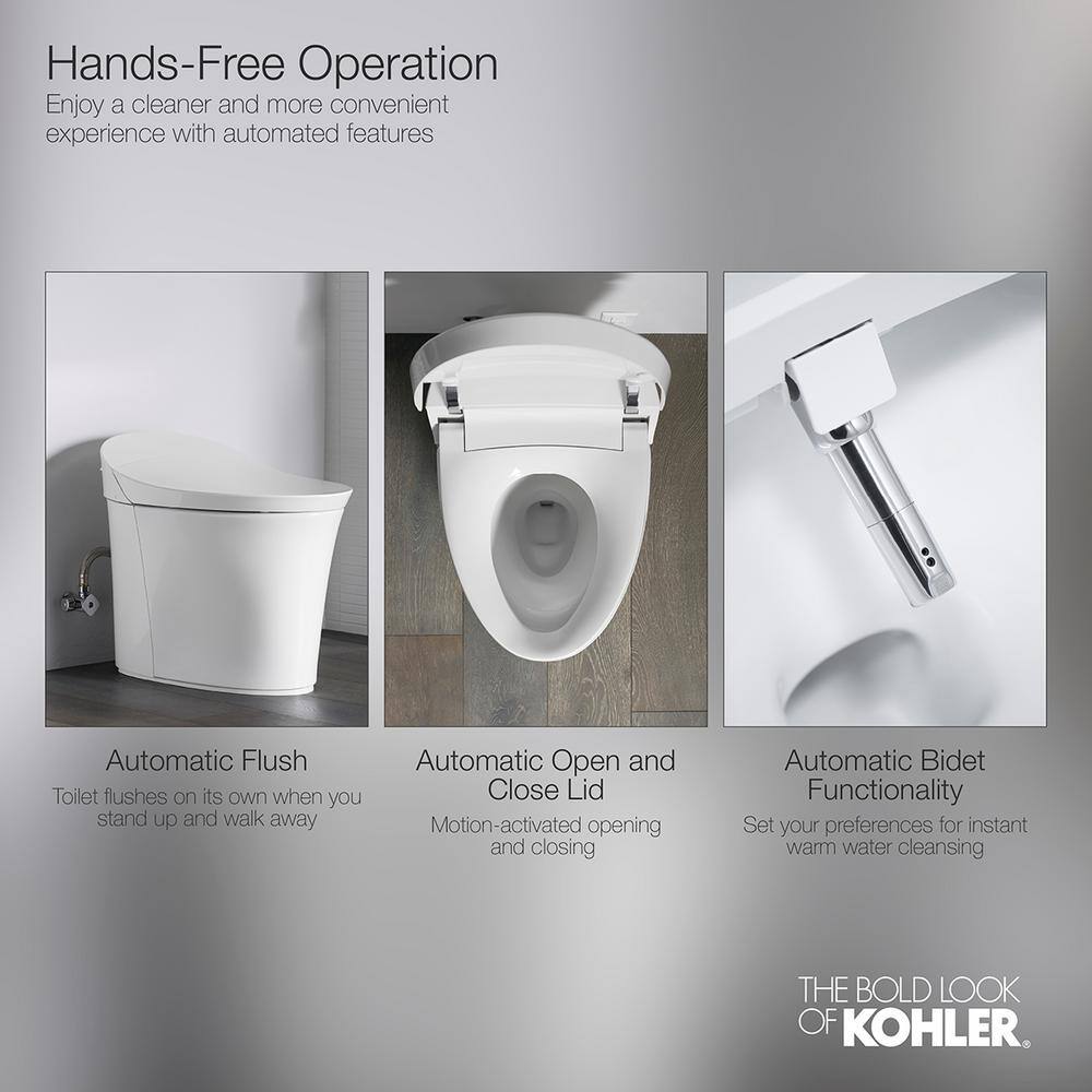 White Wall-Mounted Dual Flush High Efficiency Toilet