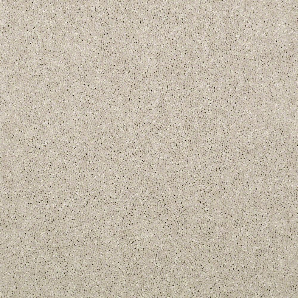8 in. x 8 in. Texture Carpet Sample - Watercolors I - Color Biscuit price history on PriceWatchPro