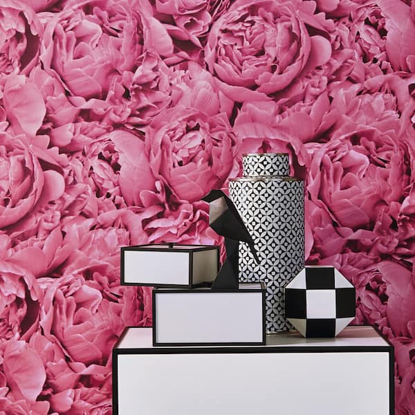 Rose flower wallpaper - buy roses wallpaper in USA