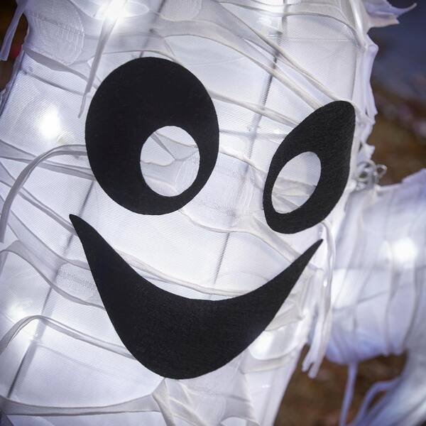 GHOST MASK WITH SPRING MOVEABLE EYES / HALLOWEEN PARTY GHOST MASK