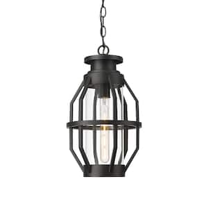 19 in. 1-light Aluminum Front Porch Outdoor Pendant Light with Clear Glass and No Bulbs Included