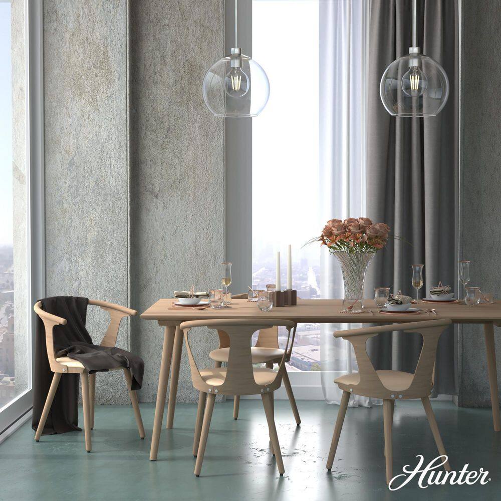 Hunter Xidane Brushed Nickel 14" Globe Pendant Light