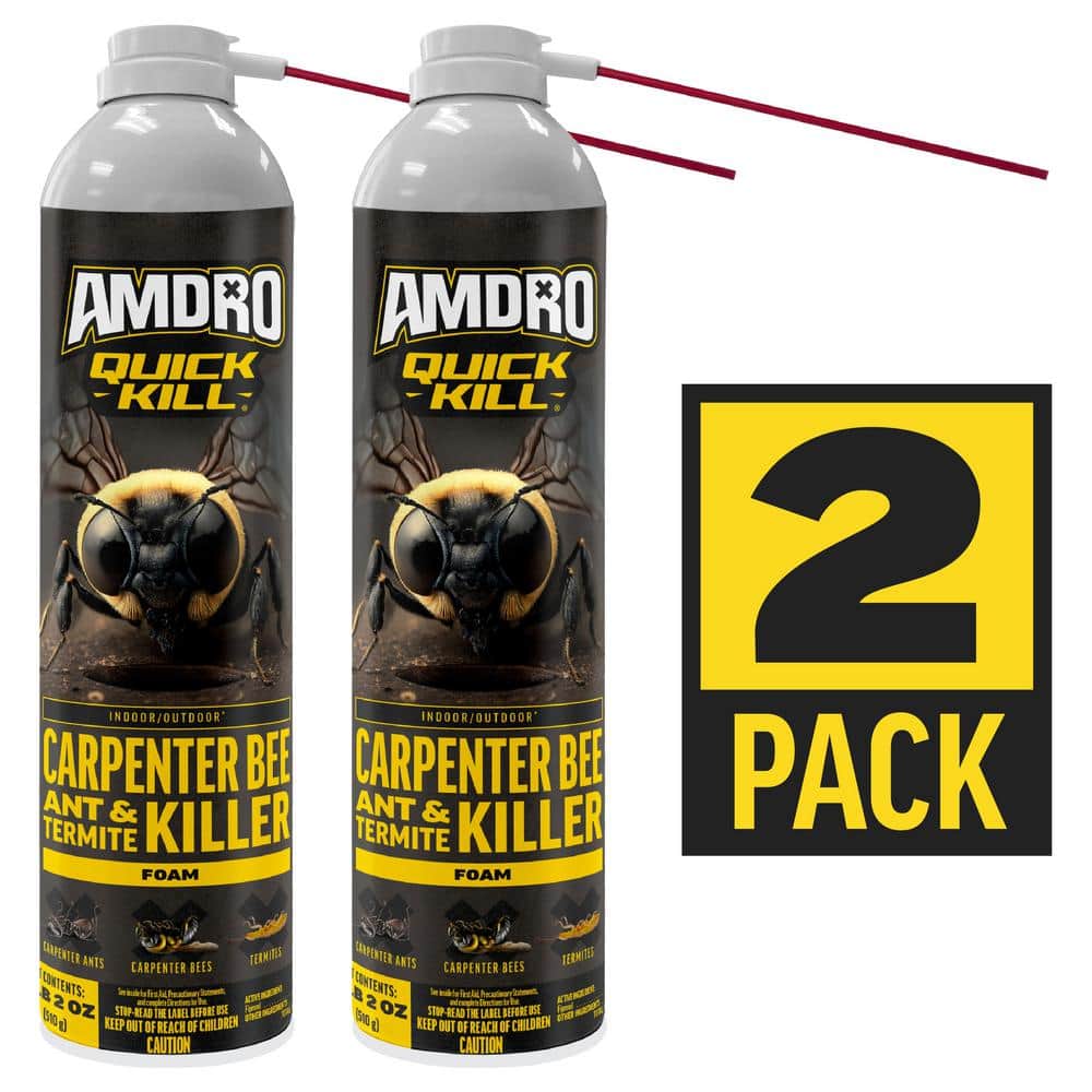 AMDRO 18 oz. Quick Kill Carpenter Bee, Ant, and Termite Killer