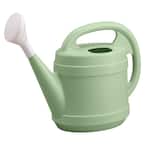 Vigoro 2 Gal. Rosemary Green Modern Multi-Grip High-Density