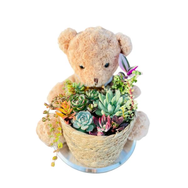 Succulent Cut Flower Planter Brown Teddy Bear Basket for Gardening, Outdoor Use, Decorative Garden Container