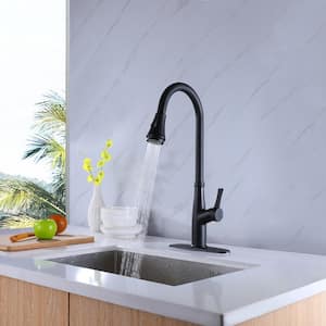 Single-Handle Single Hole Pull-Down Sprayer Kitchen Faucet with House and Deck Plate in Black