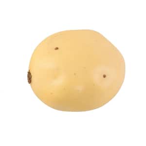 Set of 6 Artificial Medium Yellow Potato