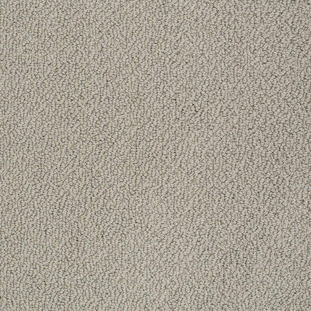 8 in. x 8 in. Loop Carpet Sample - Lightbourne - Color Oyster price history on PriceWatchPro