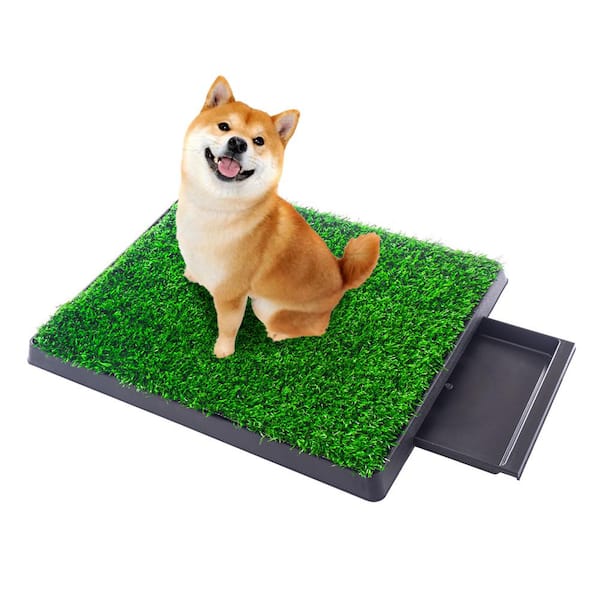 Dog Grass Pad With Tray, Artificial Grass Mats Washable Grass Pee Pads For  Dogs, Pet Toilet Potty Tray For Puppy & Small Pet, Dogs Turf Potty Training