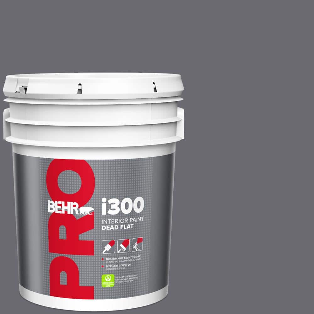 5 gal. #T16-15 Charcoal Plum Dead Flat Interior Paint price history on PriceWatchPro