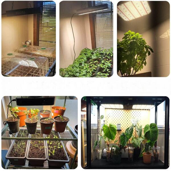 OGETFUUR Grow Light, 1200W Equiv 130W LED Grow Light-Dimmable Full