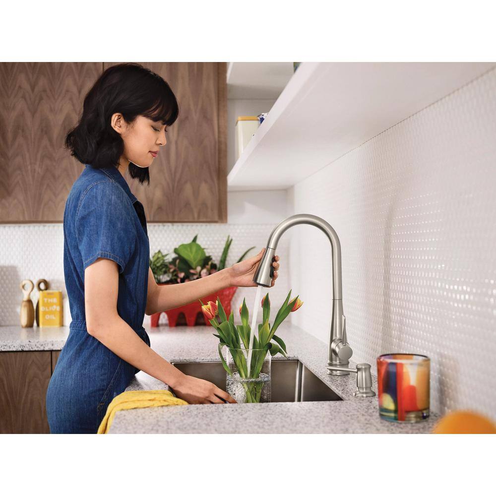 Birchfield Stainless Steel Pull-Down Kitchen Faucet with Spray