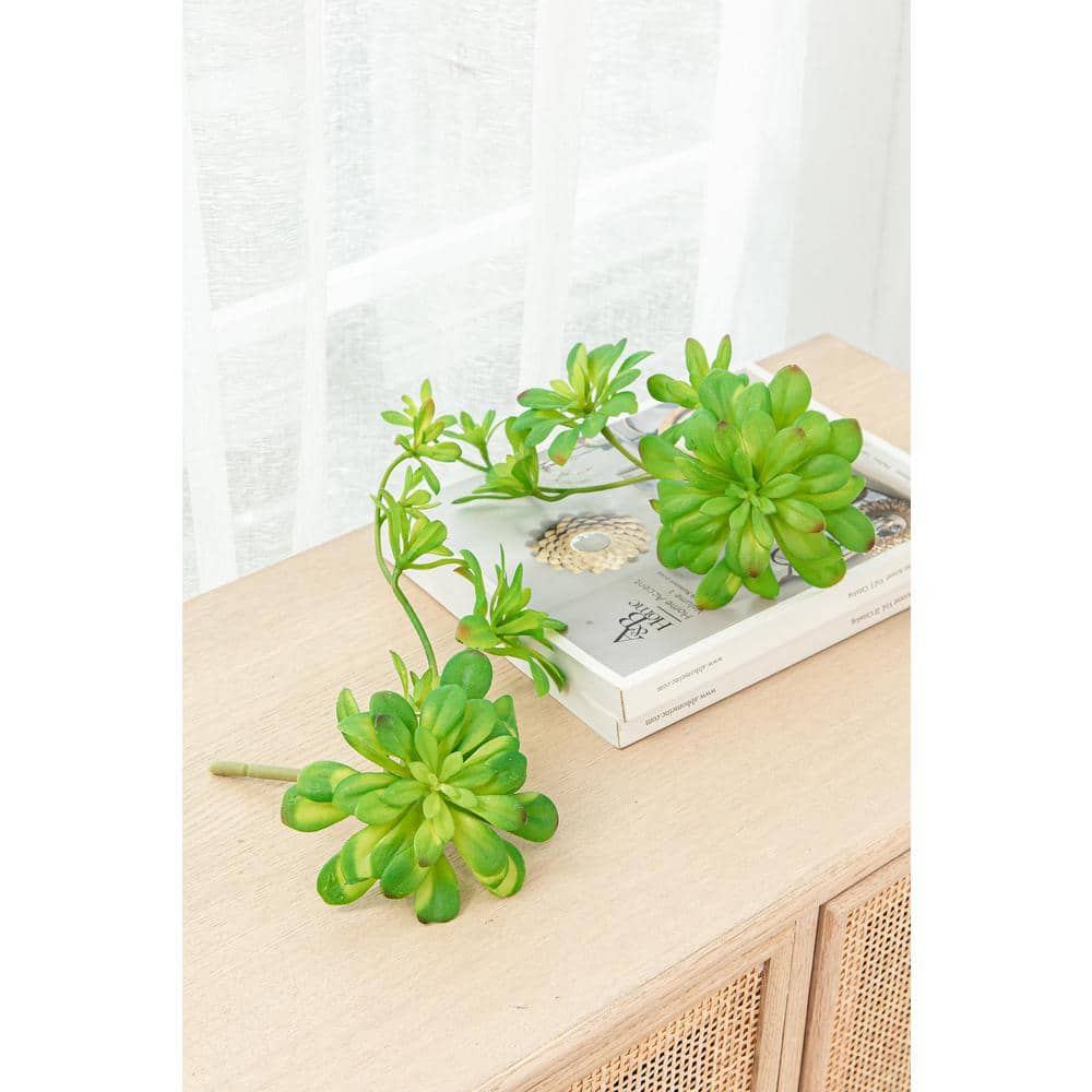 Set of 6 Green Faux Double Dudleya Succulents