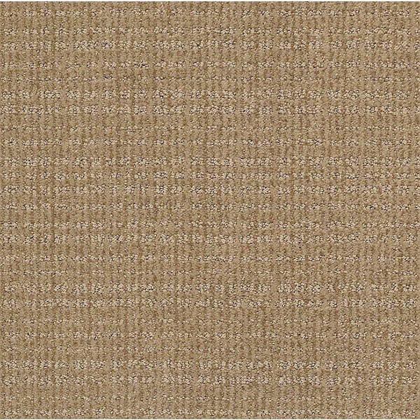 Lifeproof Recognition II - Perennial - Brown 24 oz. Nylon Pattern Installed Carpet
