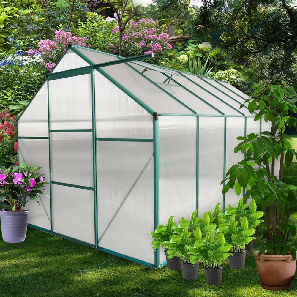 Walk in Greenhouse for Outside, 6 ft. W x 12 ft. D Portable Aluminum Heavy-