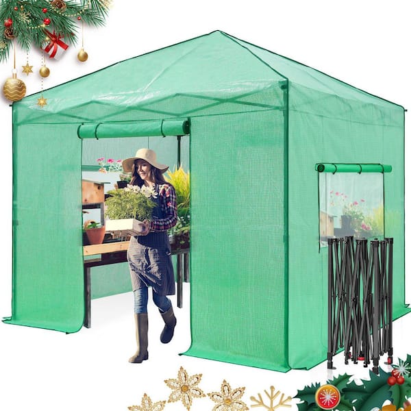 120 in. W x 120 in. D Portable Walk-In Pop-Up Gardening Instant Greenhouse Canopy