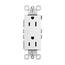 https://images.thdstatic.com/productImages/62438d24-ace5-4012-b3a0-40f29a4fbd05/svn/white-legrand-electrical-outlets-receptacles-885trwcc12-64_65.jpg