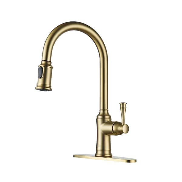CASAINC Single Handle Pull Out Sprayer Kitchen Faucet High Arc with Pull Down Sprayer head, Deckplate Included in Brushed Gold
