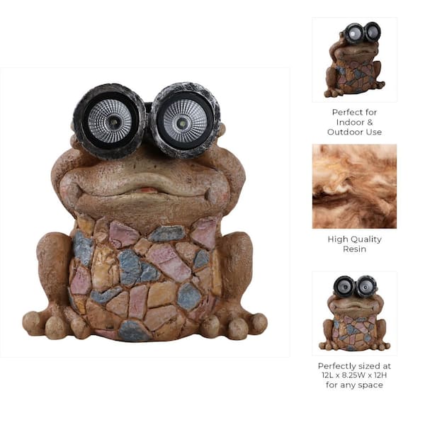 Liv & Skye Multi-Colored 12 in. x 12 in. Resin Frog with Solar