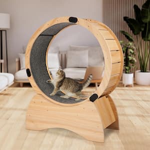 Cat Exercise Wheel Running Spinning Scratching Fun Cat Treadmill Carpeted Runway Kitty Cat Sport Toy Physical Activity