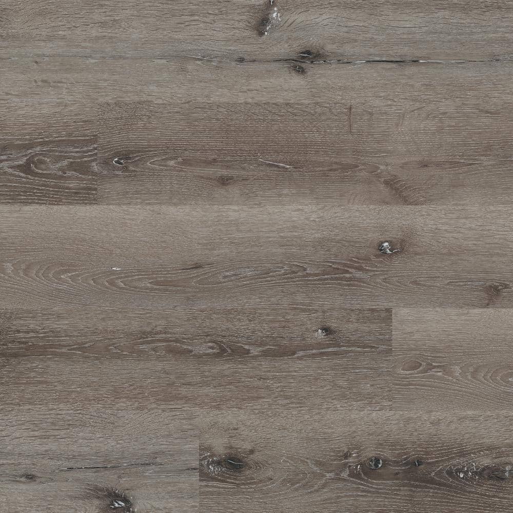 Take Home Sample - Centennial Ash 7 in. W x 7 in. L Waterproof Rigid Core C