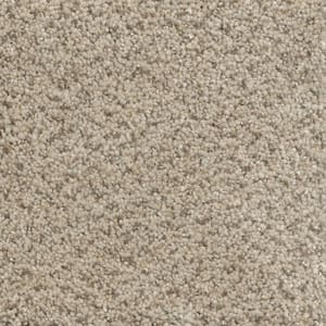 Soft Breath II - Fawn Creek - Beige 60 oz. SD Polyester Texture Installed Carpet