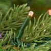 7.5 ft. Grand Duchess Balsam Fir LED Christmas Tree