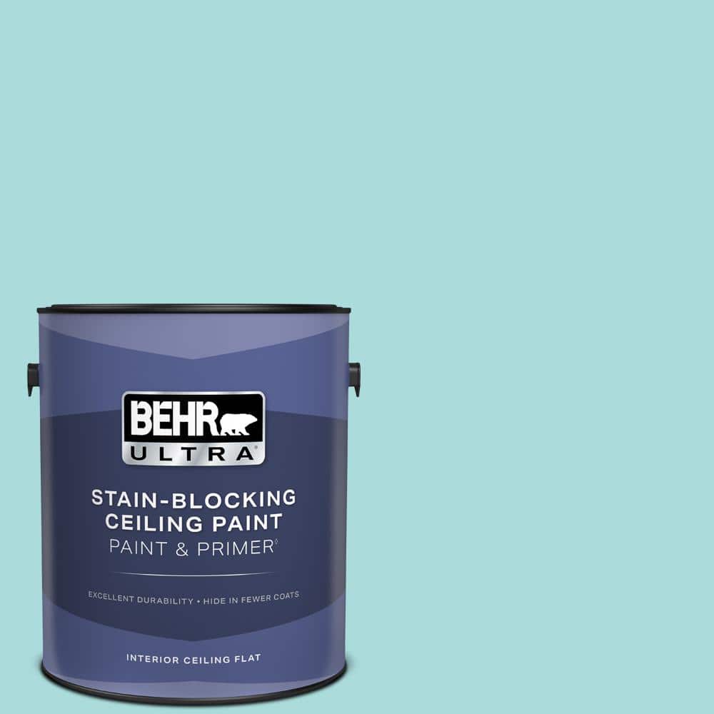 1 gal. #M460-2 Beachside Drive Ceiling Flat Interior Paint with Primer price history on PriceWatchPro