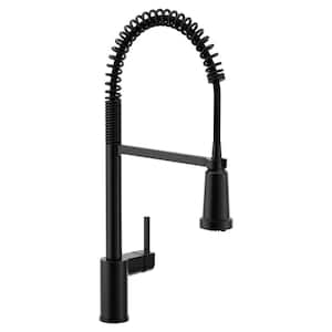 Align Single Handle Pre-Rinse Spring Pull Down Sprayer Kitchen Faucet with Optional 3- in -1 Water Filtration in Black