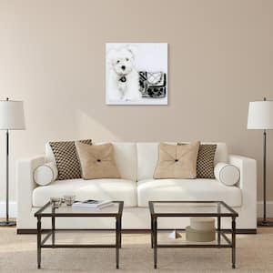 20 in. x 20 in. "Black and White" by Jodi Pedri Frameless Free Floating Tempered Glass Panel Graphic Wall Art